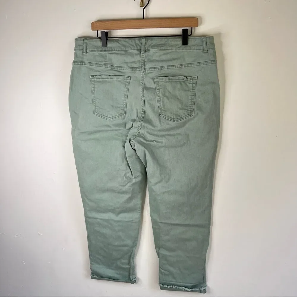 LOGO by Lori Goldstein Sage Green Boyfriend Pants size 18 W